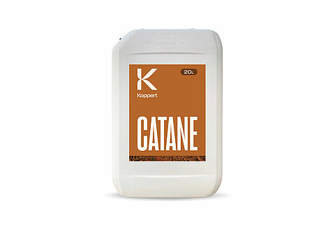Catane