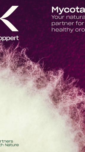 Mycotal Brochure