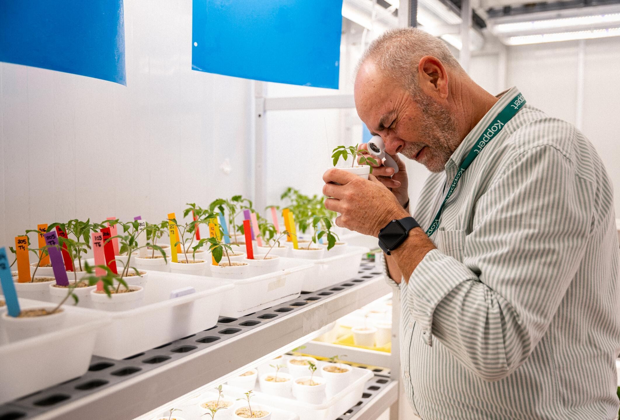 Transformer la protection des Cultures : l'essor des Acariens Prédateurs