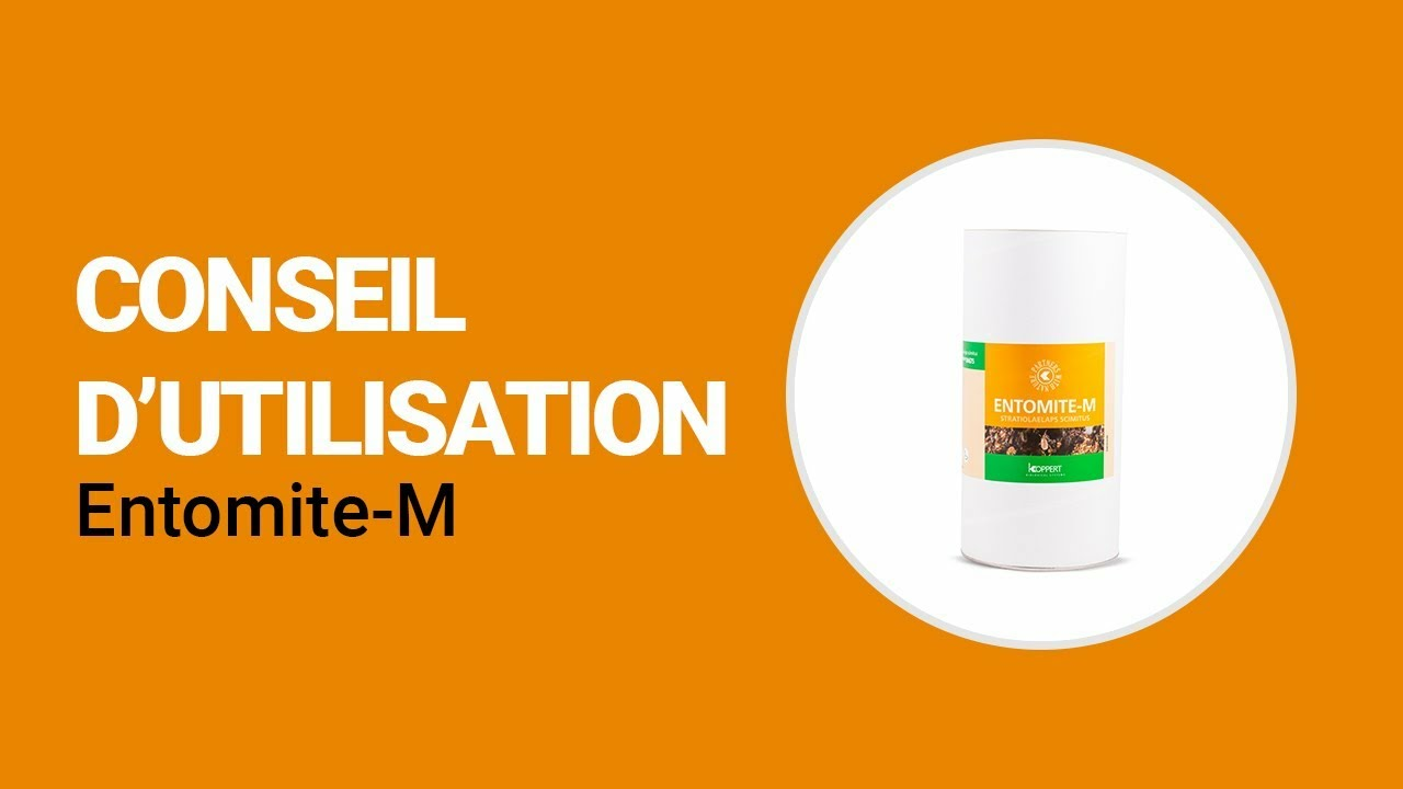 Comment utiliser Entomite-M de Koppert