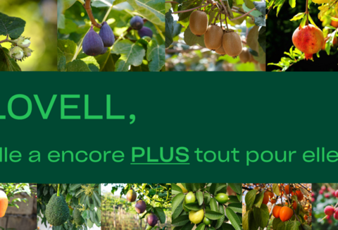 LOVELL, elle a encore PLUS pour elle !