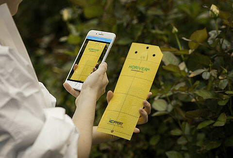 De nombreuses nouveautés présentées au SIVAL 2020