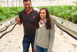 Retour d'expérience NatuGro en fraise pour l'EARL de BESSE