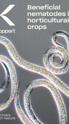 Beneficial Nematodes against Horticultural Pests Beneficial Nematodes against Horticultural Pests