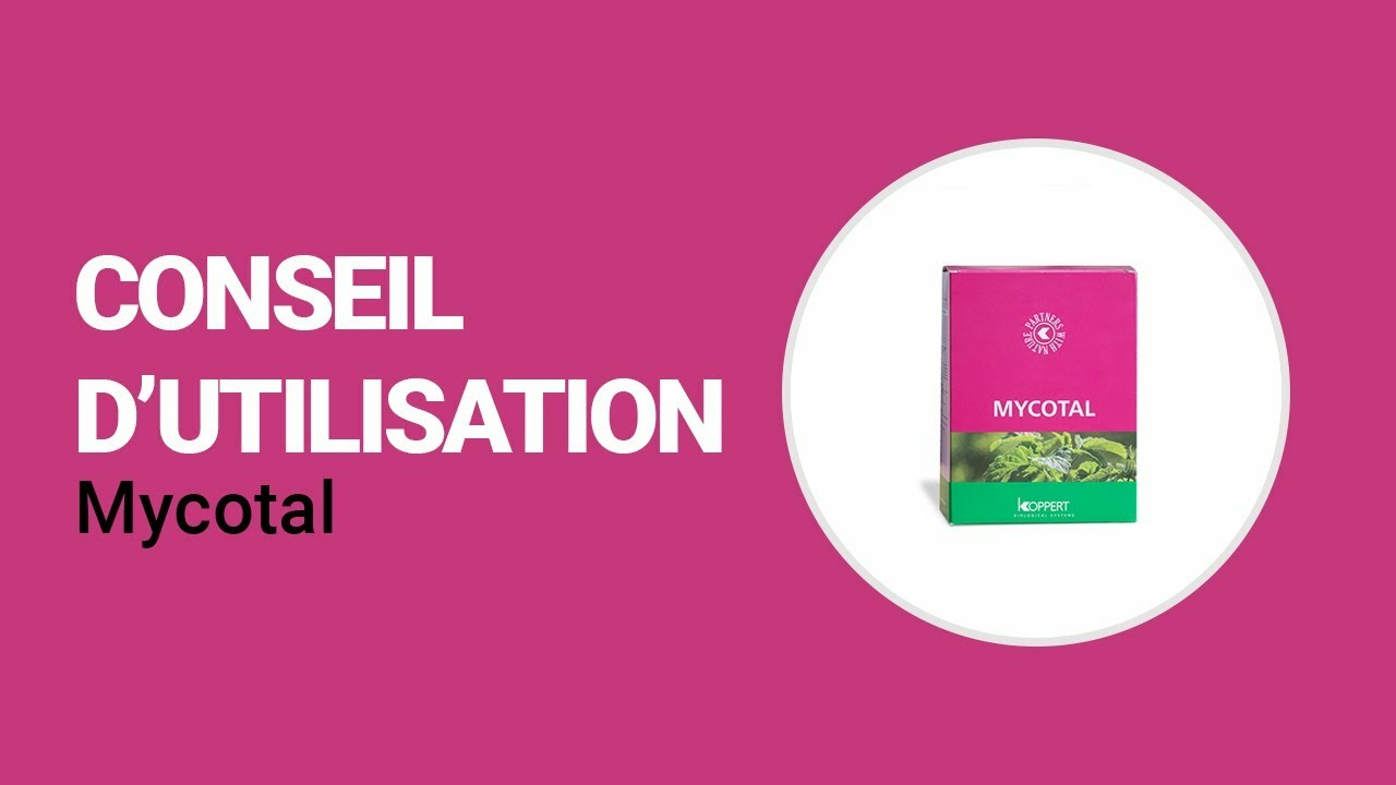 Comment utiliser Mycotal de Koppert