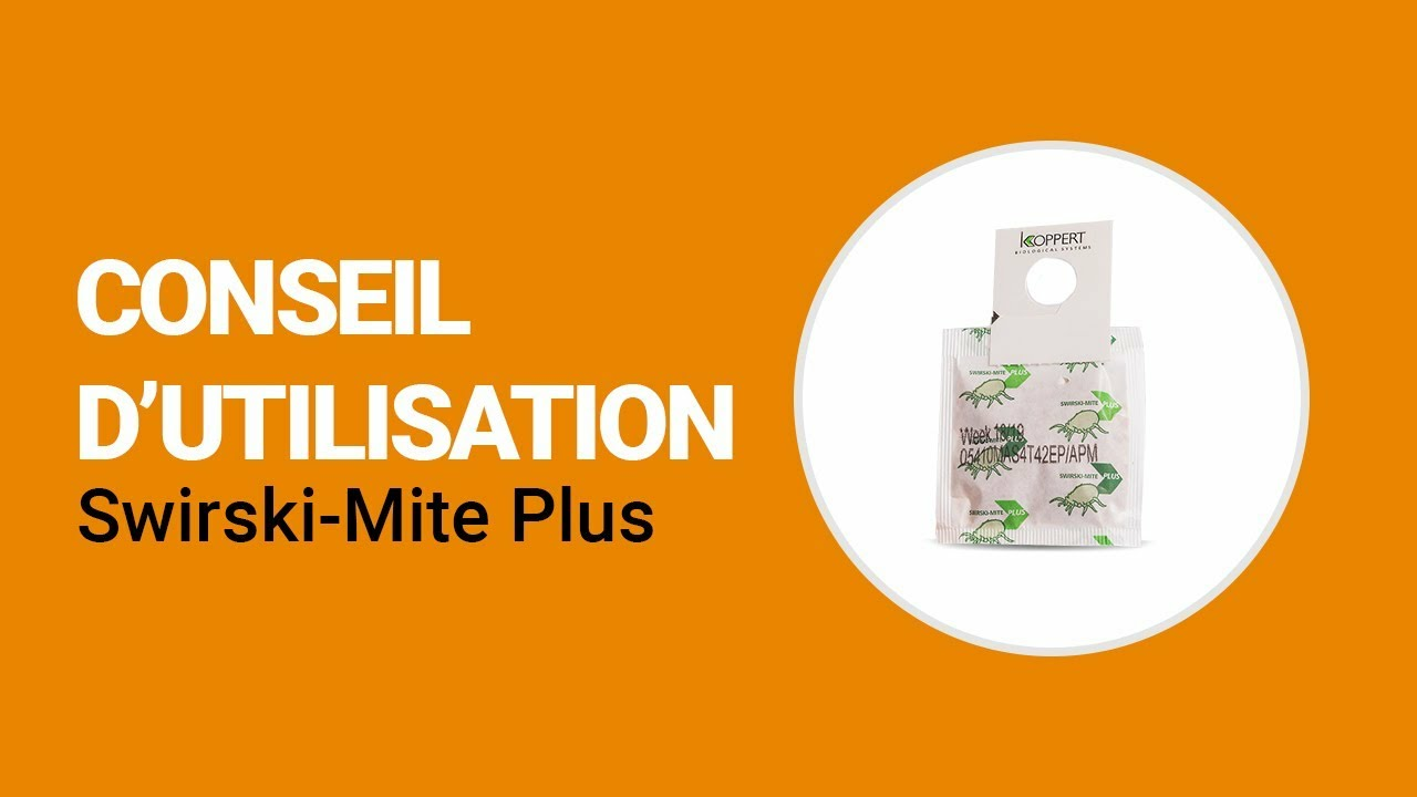 Comment utiliser Swirski-Mite Plus de Koppert