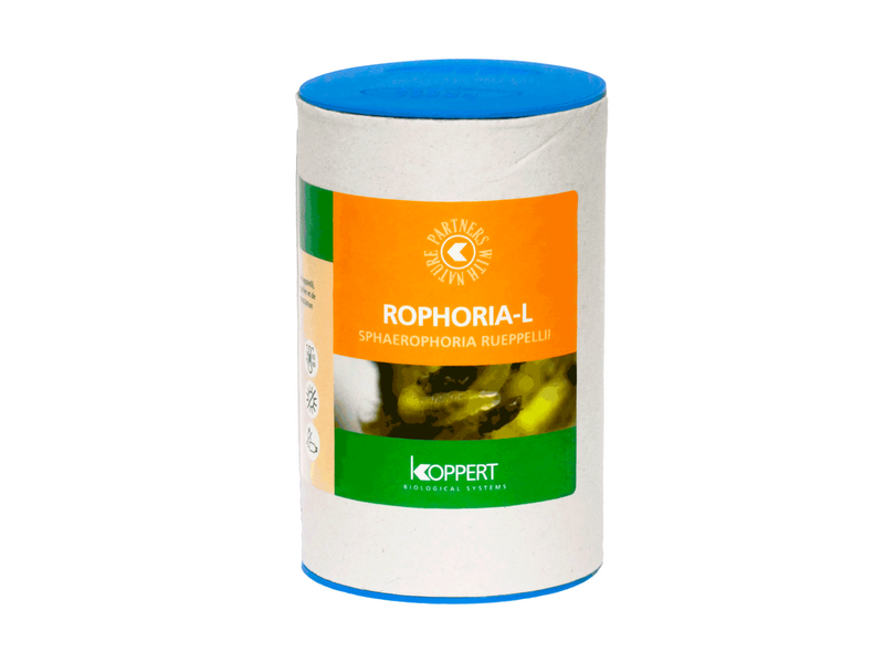 Rophoria-L_fond-blanc2.png