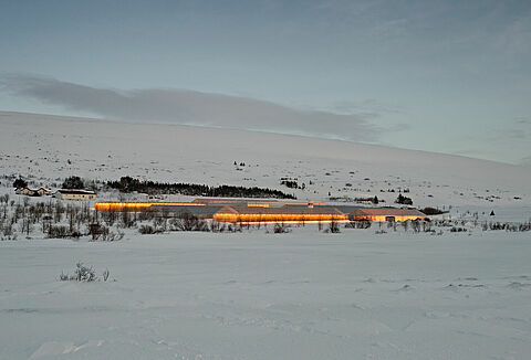 Artifically lit crops pollination advice