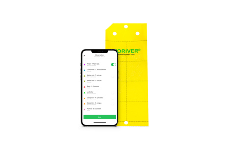 Dépistage des cultures