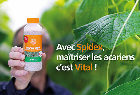 Avec Spidex, maîtriser les acariens c’est Vital !
