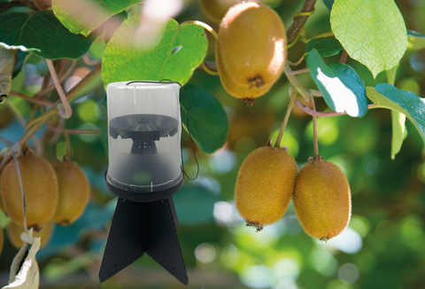 Halyosan, votre allié contre les punaises diaboliques