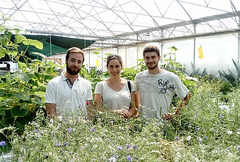 La parole aux sourciers, micro ferme hydroponique en Protection Biologique active