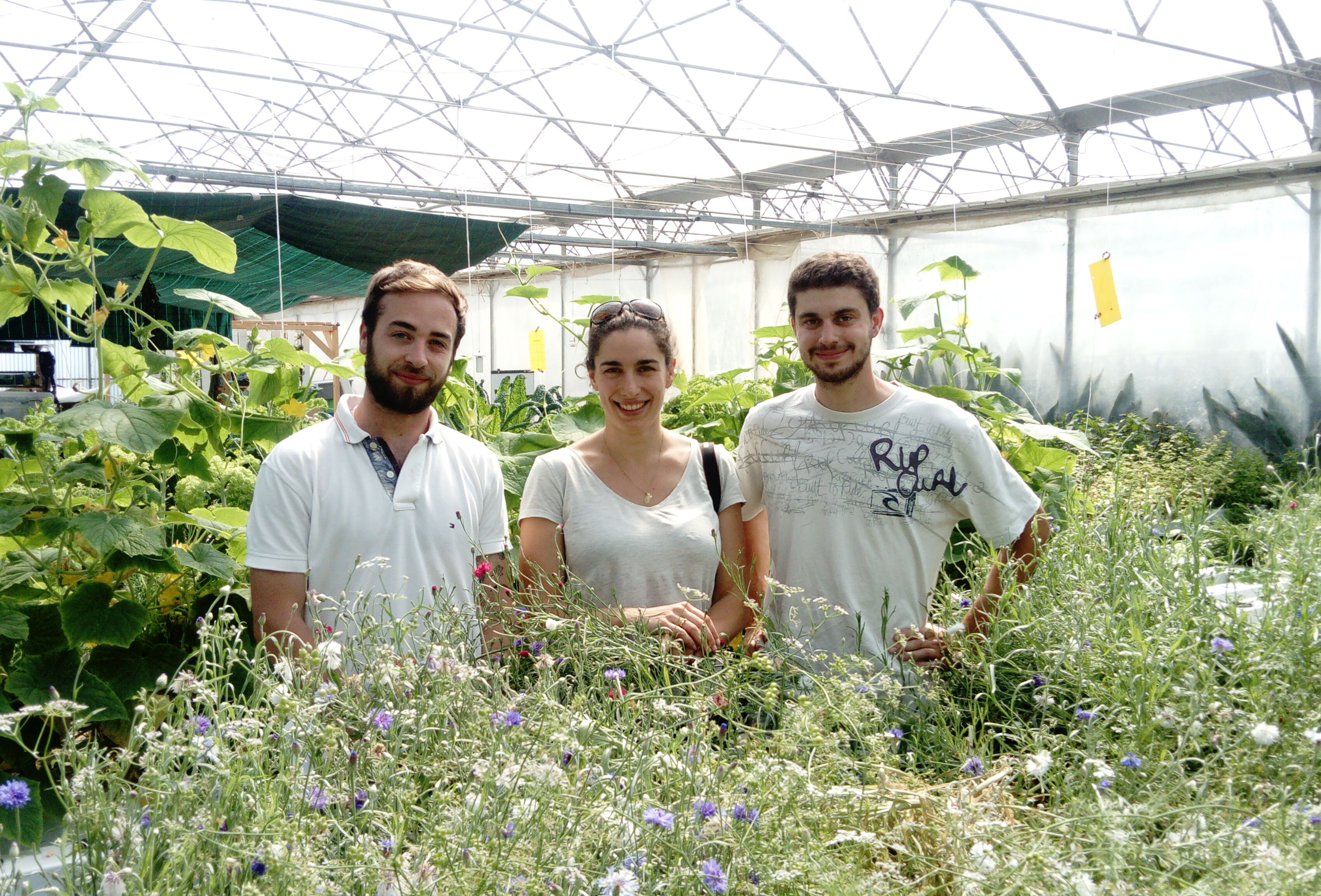 La parole aux sourciers, micro ferme hydroponique en Protection Biologique active