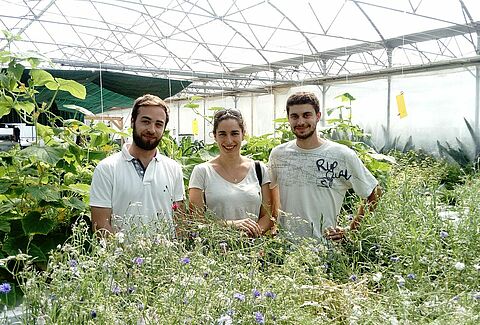 La parole aux sourciers, micro ferme hydroponique en Protection Biologique active