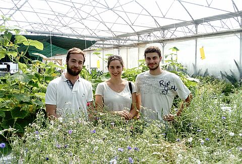 La parole aux sourciers, micro ferme hydroponique en Protection Biologique active