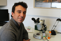 Lancement du projet de recherche sur les punaises IMPULsE, par Thibaut Verfaille