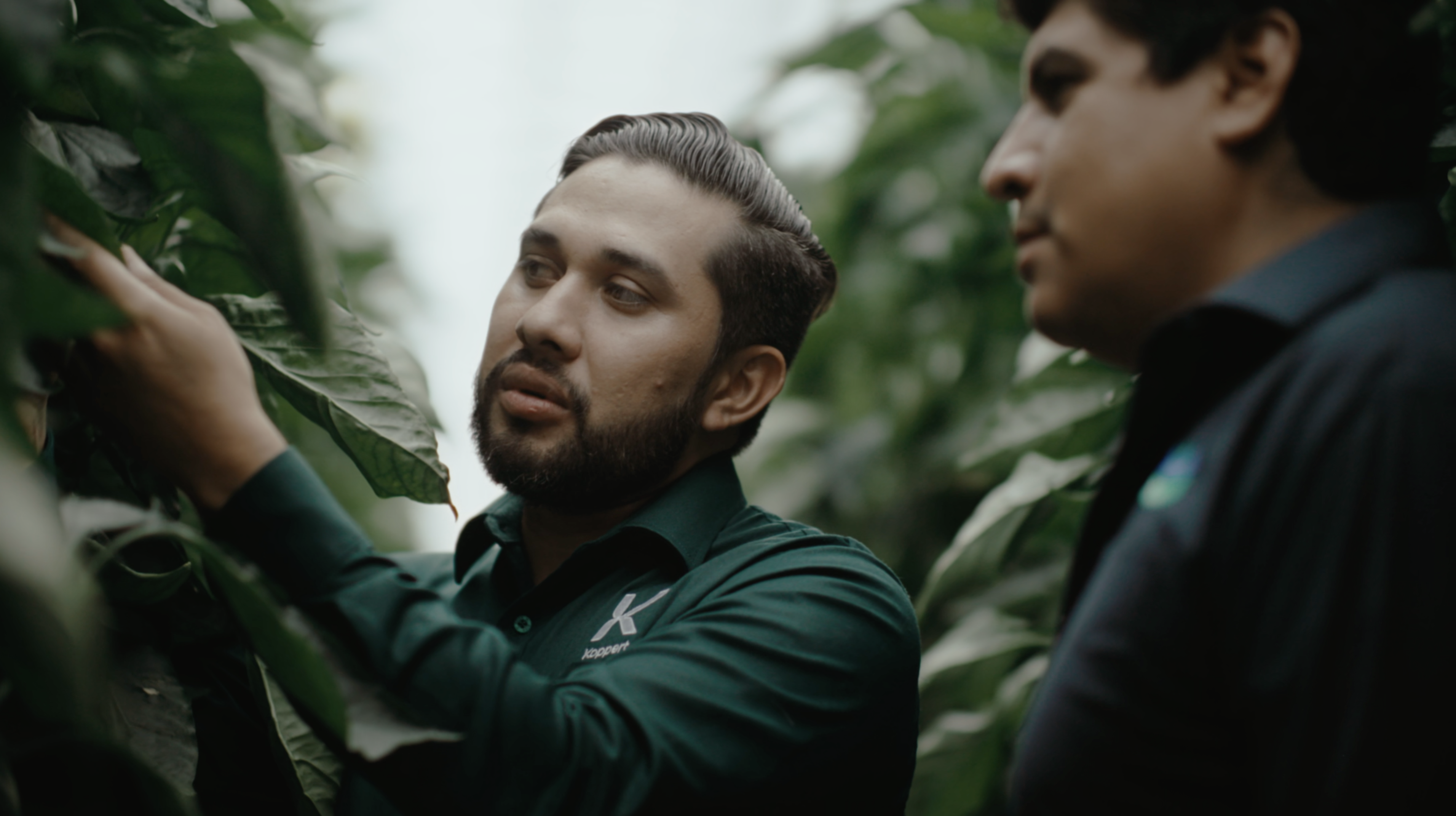 La Hacienda Fresh augmente la rentabilité des cultures grâce au contrôle biologique